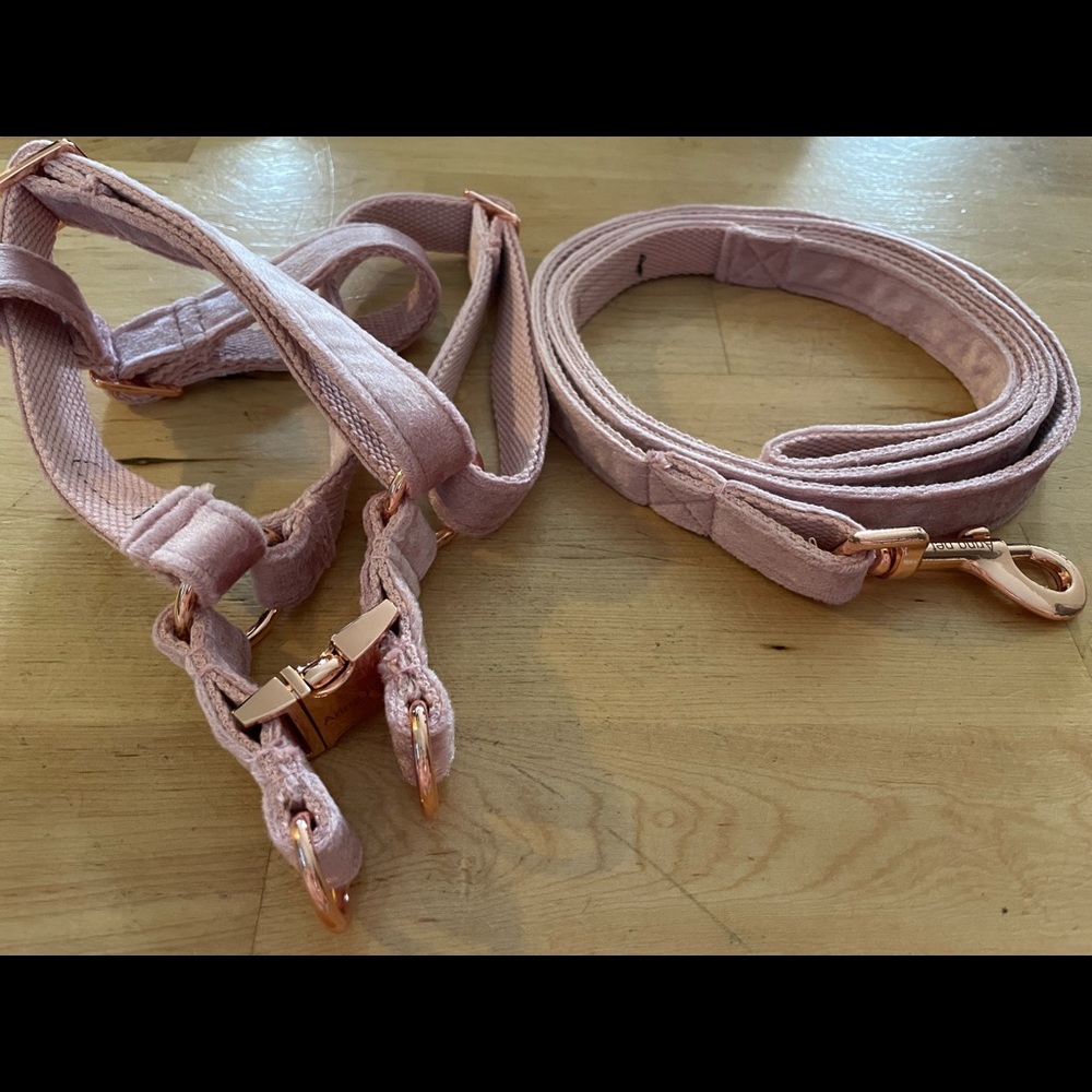 Pink velvet harness and leash set rose gold trim